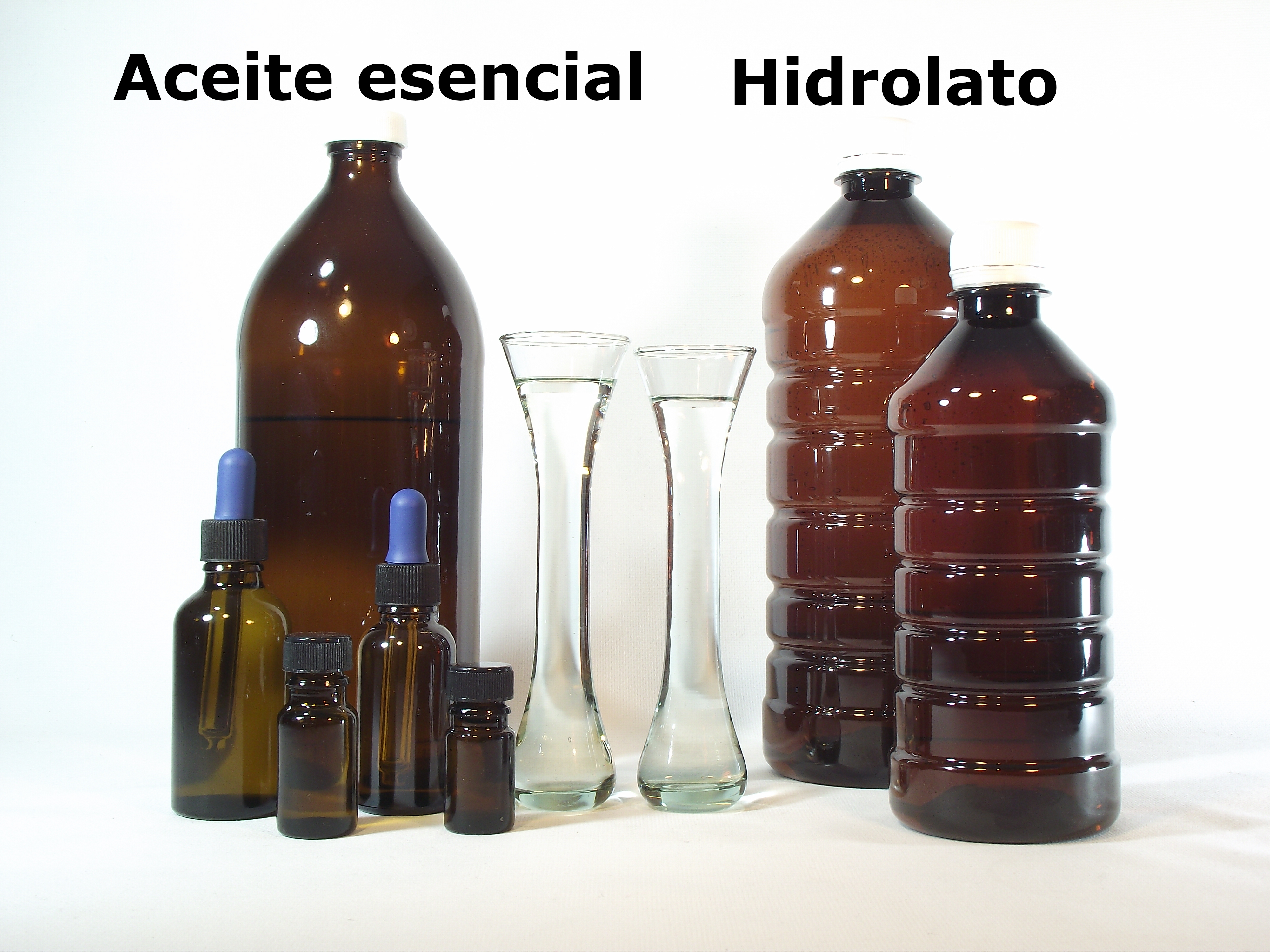 Producción de aceite esencial de cardamomo Verdesazón
