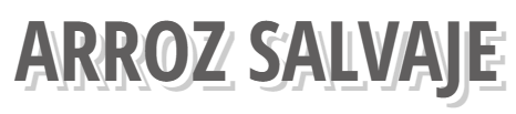 Arroz salvaje orgánico a granel - Verdesazón