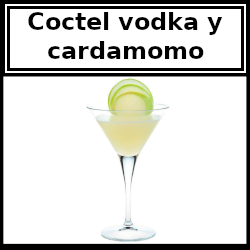 Cóctel con vodka y cardamomo