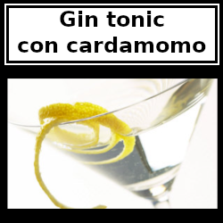 Gin tonic con cardamomo