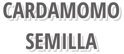 Cardamomo en semilla y polvo a granel - Verdesazón