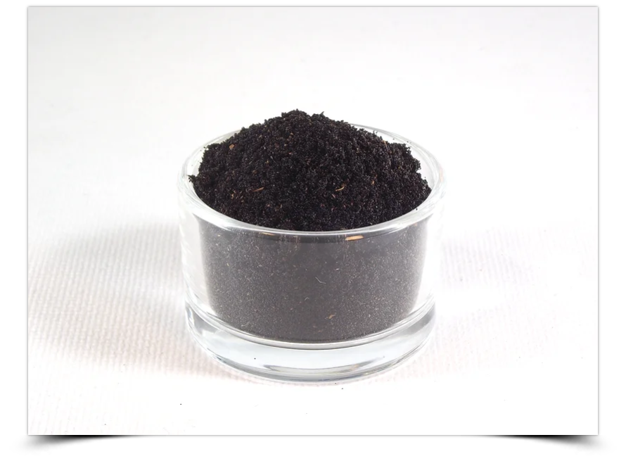 Semillas de vainilla mexicana natural Verdesazón
